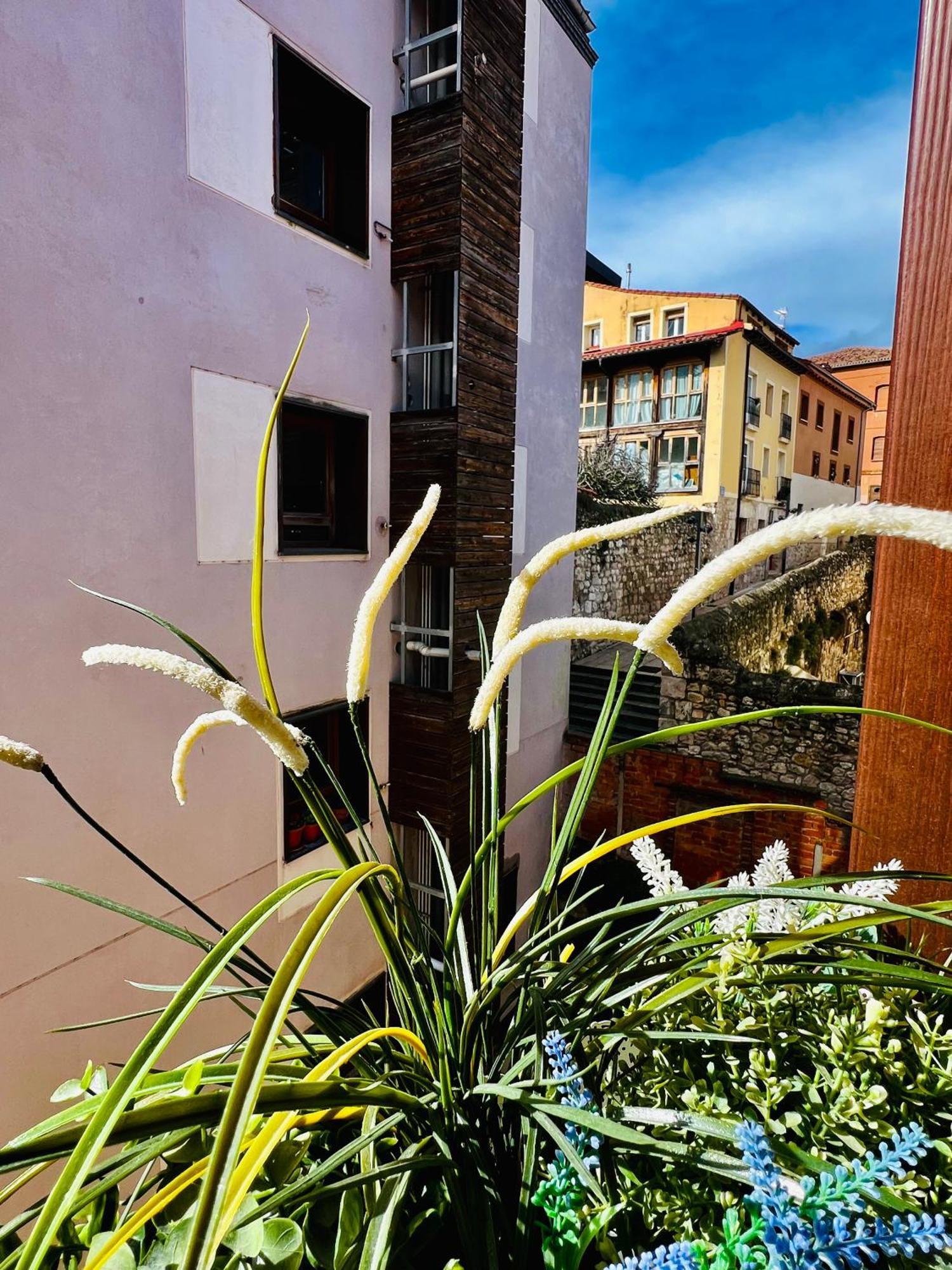 El Capricho De Claudia_ Apartamentos Burgos Catedral Kültér fotó